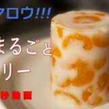 【番組レシピ】丸ごとみかんゼリーを作ってみた【家事ヤロウ】【スイーツ】【牛乳みかんゼリー】#家事ヤロウ