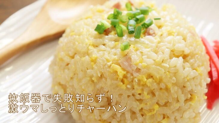 【炊飯器で激うま！しっとりチャーハン】家事ヤロウでも話題のレシピを作ってみた【失敗しない簡単炒飯】