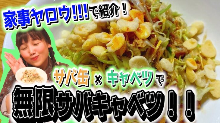 【無限サバキャベツ】家事ヤロウ!!!で紹介！キャベツとサバ缶で作りあげる無限サバキャベツ