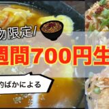 【丼物限定】1週間700円節約生活 【一人暮らしの貧乏レシピ】