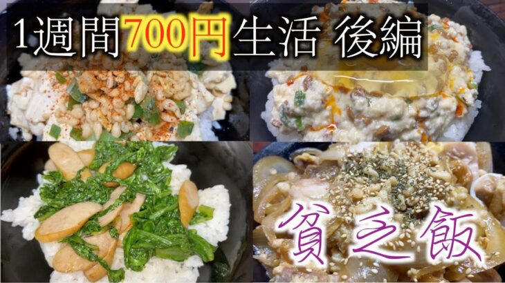 【貧乏飯】1週間700円で超節約生活【一人暮らしのレシピ丼限定】