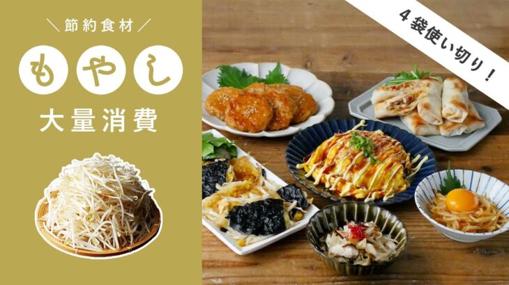 【節約食材！もやしで6品】コスパ抜群！もやし料理に困った時にも！大量消費レシピ集