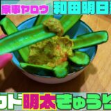 【和田明日香さん料理レシピ】「アボカド明太子キュウリ」を作ってみた【家事ヤロウ】