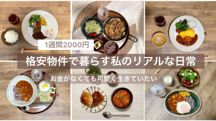 【vlog】低収入 | 一人暮らしの食事 🥒1週間2000円で乗り切る | #日常生活 #vlog #社会人