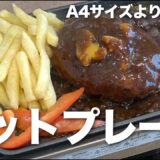 【ホットプレート】ぼっち飯がたのしくなる！ミニ卓上プレート！