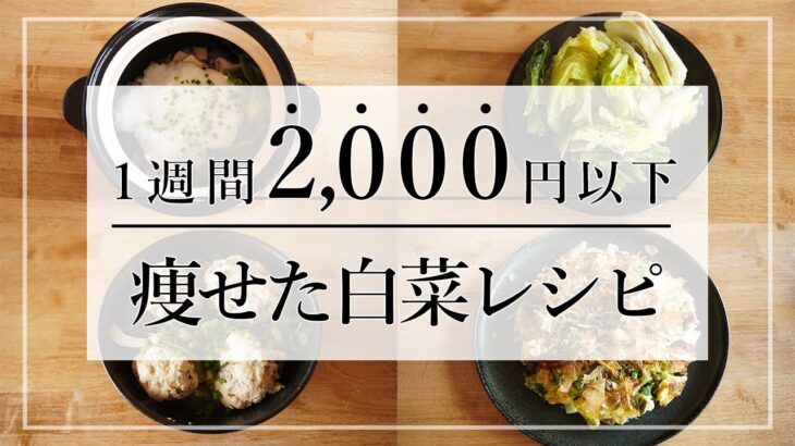 【2ヶ月で58kg→48kg】白菜大量消費で飽きないダイエットレシピ7日分/低糖質/糖質制限