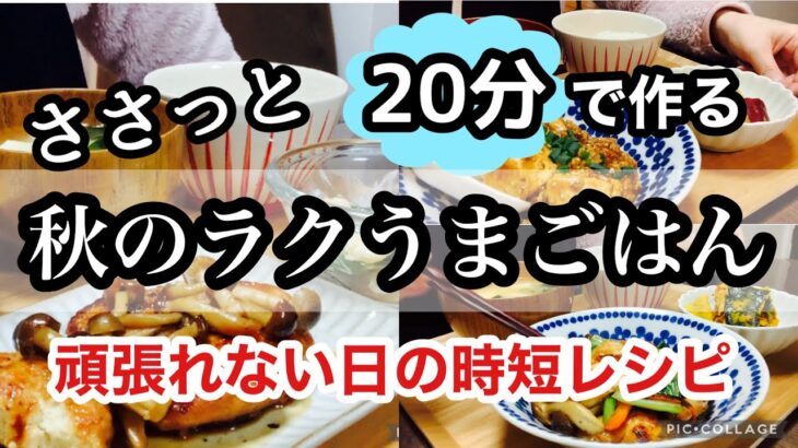 【子供も喜ぶ晩ごはん】簡単＆時短で栄養満点のメニュー/疲れていてもささっと作れる晩ごはん/失敗なしの簡単レシピ