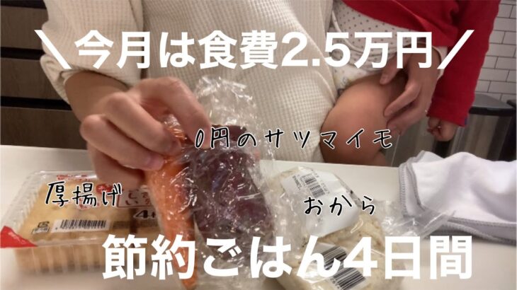 【節約生活】節約主婦4日間のリアルご飯／食費2.5万円/料理苦手/低収入／節約ご飯