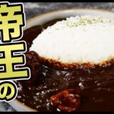 １番美味しい市販のカレールー教えます！カレー歴20年以上のマニアが発見した最強のルー。その名も”テーオーカレー”これ以上があるなら教えてください(切実)｜作り方｜飴色玉ねぎ｜サウザー｜案件じゃない｜