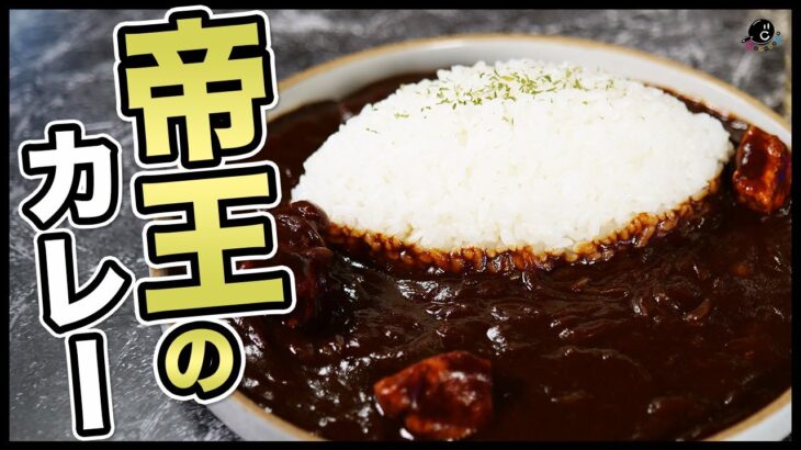 １番美味しい市販のカレールー教えます！カレー歴20年以上のマニアが発見した最強のルー。その名も”テーオーカレー”これ以上があるなら教えてください(切実)｜作り方｜飴色玉ねぎ｜サウザー｜案件じゃない｜