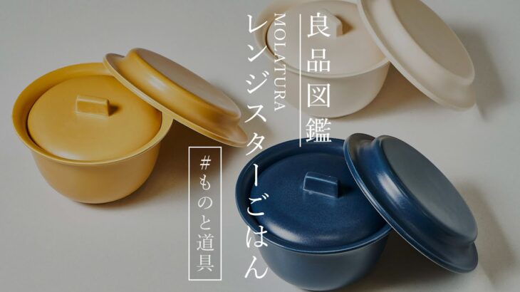 電子レンジでごはんとおかずを同時調理「レンジスターごはん」【おうちごはん編集部の良品図鑑】#Shorts