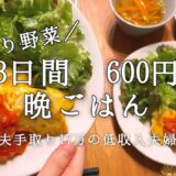 【節約】平日3日間600円生活 節約レシピ 妊娠9ヶ月