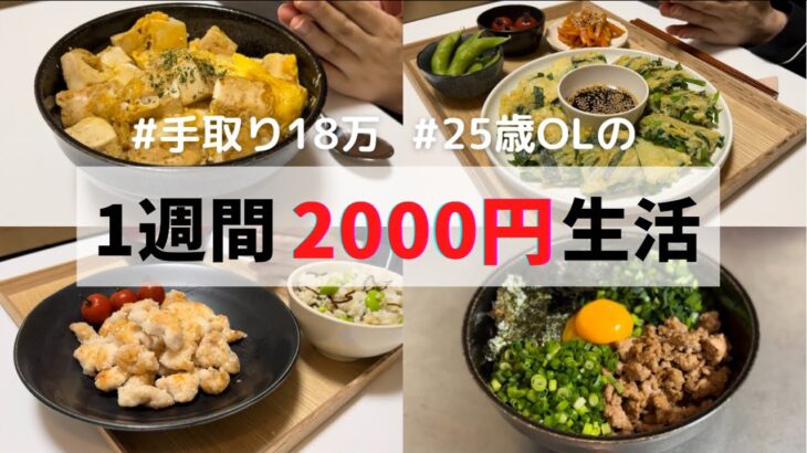 食費1ヶ月1万円の一人暮らしごはん【1週間分紹介】枝豆消費しました🥳