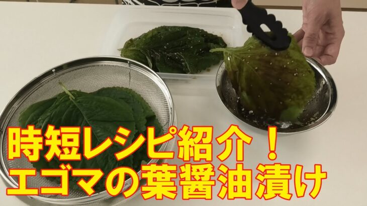 時短レシピ紹介！エゴマの葉醬油漬け/忙しい人向け