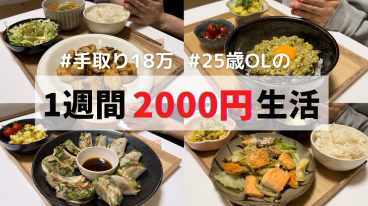 食費1ヶ月1万円の一人暮らしごはん【1週間分紹介】アボガド丼|鮭の味噌バター炒め|大根餃子|