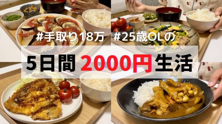 食費5日間2000円の贅沢レシピ🌟【朝昼晩ご飯全部紹介】