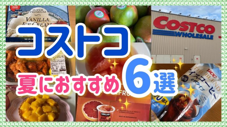 【コストコ】夏真っ盛り♪暑い時期にぴったりのひんやり＆辛旨商品６選【COSTCO】