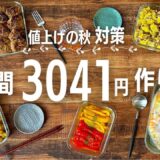 【全11品】お弁当のおかずにも！超節約おかずレシピ #105