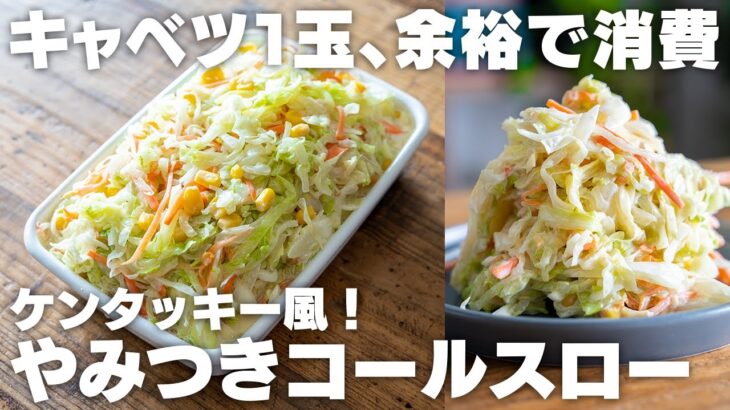 美味しすぎて一瞬で消える。キャベツ使い切り！大量消費【ダイエット】