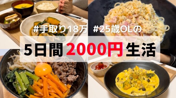 食費5日間2000円の贅沢レシピ🌟【朝昼晩ご飯全部紹介】