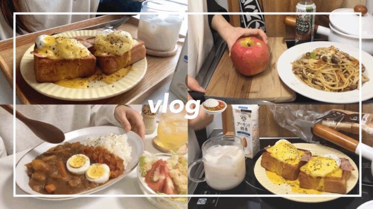 一人暮らしのごはんvlog🍛/美味しかったコンビニスイーツ🍂/エッグベネディクト、ごろごろポークカレー、きのこそぼろ和風パスタ