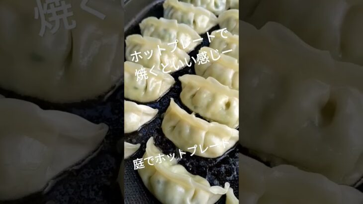 雪松餃子をホットプレートで焼く！ #shorts