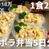 【1食200円】【親子丼弁当】5日分作り置きして冷凍しよう