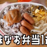 一人暮らしOLの１週間の地味なお弁当/食費節約/自炊生活