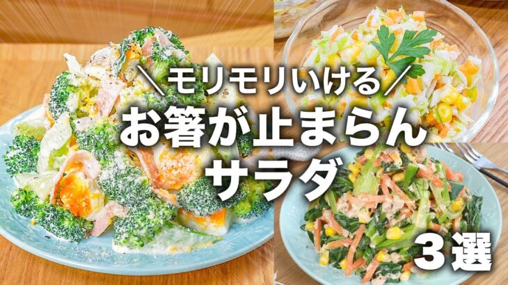 野菜がモリモリいけちゃう😋👍お箸が止まらんサラダレシピ  3選✨　野菜の大量消費/簡単レシピ/時短レシピ/節約レシピ/ヘルシーレシピ