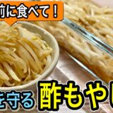 【節約！病気を防ぐ】今日から始めてほしい！すぐ作れる！実践できる！酢もやしでお悩み解消【大量作り置き】