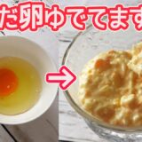 レンジで40秒「タルタルソース」卵をゆでない簡単タルタルソース作り方