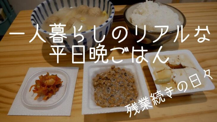 全く映えないリアルすぎる一人暮らしの平日晩ごはん/食費節約