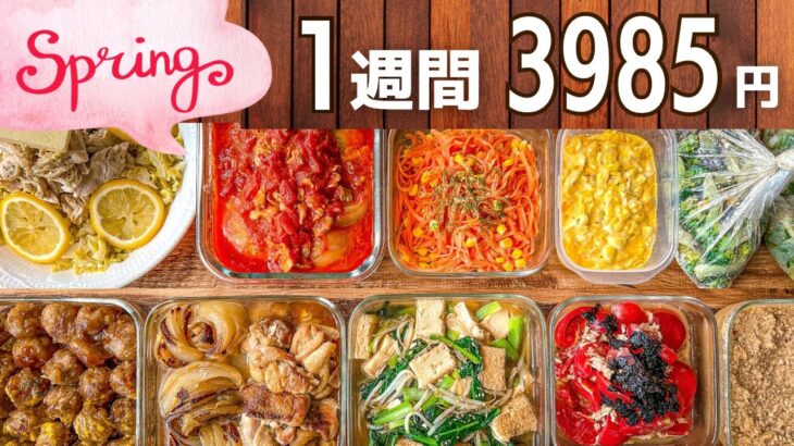 【節約レシピ】食費を抑えたい人必見！作り置きおかず #122