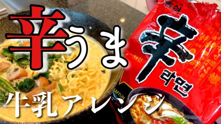 【飯テロ】辛ラーメンアレンジ！辛いの苦手でもこれは優勝すぎた🏆