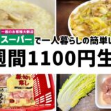 【業務スーパー】１人暮らし７日間で１１００円の節約晩ご飯！【一口コンロ/簡単レシピ】