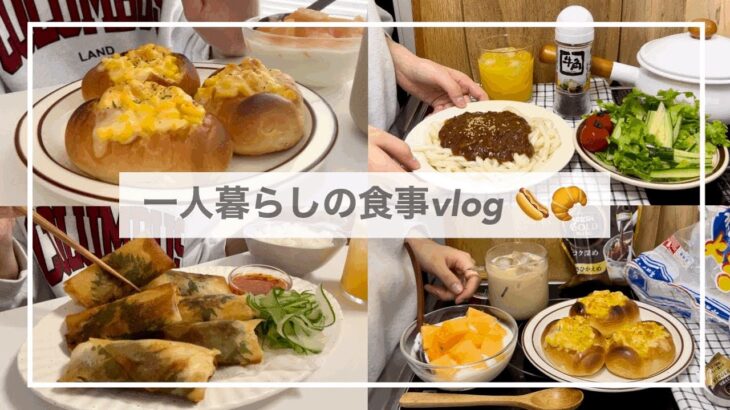 一人暮らしの食事vlog🌭/大葉チーズささみ春巻きを作って食べる/ホットドッグ、マヨコーンチーズパン、ジャージャーうどん