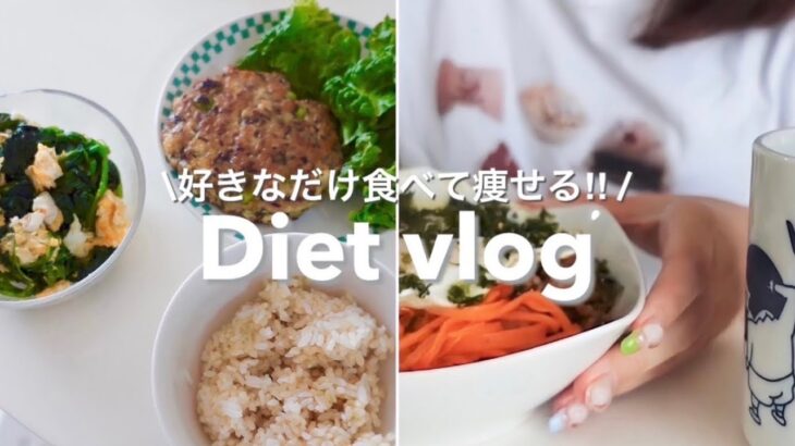 【diet vlog】食べながら痩せる！美味しいダイエットレシピ達紹介するよ🥣🍙