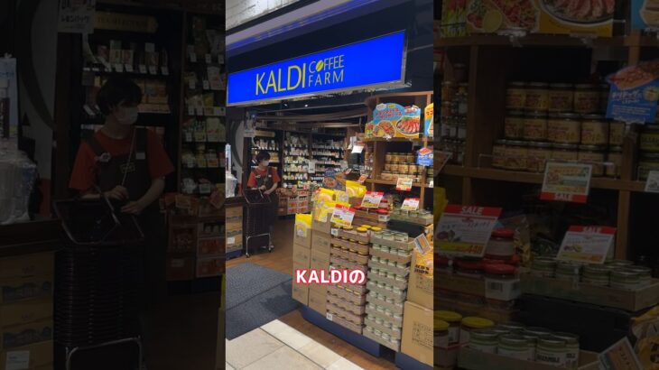 SNSで話題のKALDIで絶対買うべき商品買った結果ww #shorts