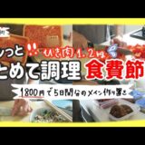 【食費節約】ドーンっとひき肉1.2kg使って平日5日分のメイン作り置きするよ