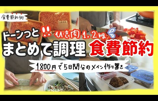 【食費節約】ドーンっとひき肉1.2kg使って平日5日分のメイン作り置きするよ