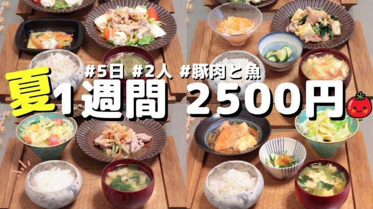 夏の夕飯1週間5日おかず2500円献立(7月)【節約レシピ】(´・ω・`)（●｀ε´●）2人暮らし(457)