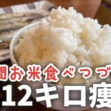 お米食べ続けて12キロ痩せ🍚1年間のダイエットの歴史を振り返った結果