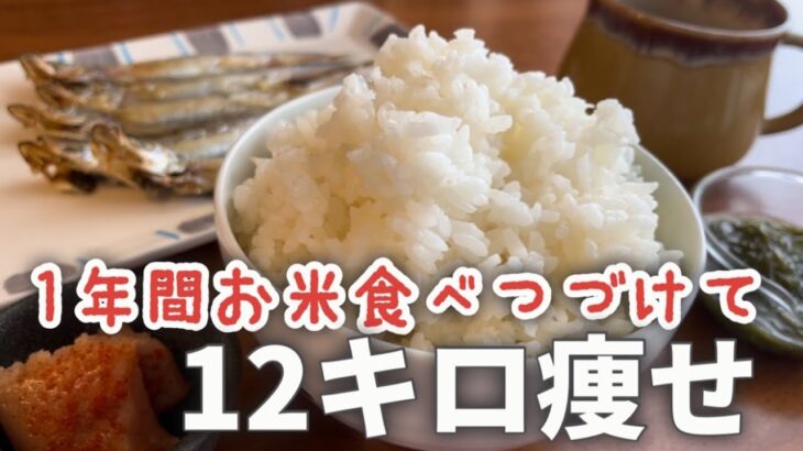 お米食べ続けて12キロ痩せ🍚1年間のダイエットの歴史を振り返った結果
