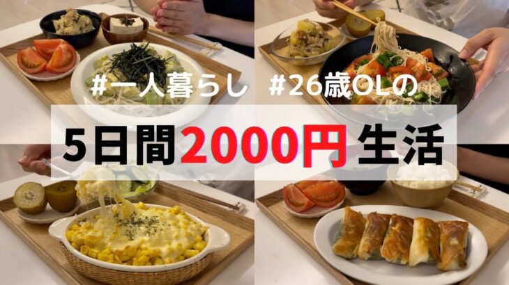 【贅沢週間】食費1ヶ月1万円の一人暮らしごはん🍚素麺レシピ紹介☀️