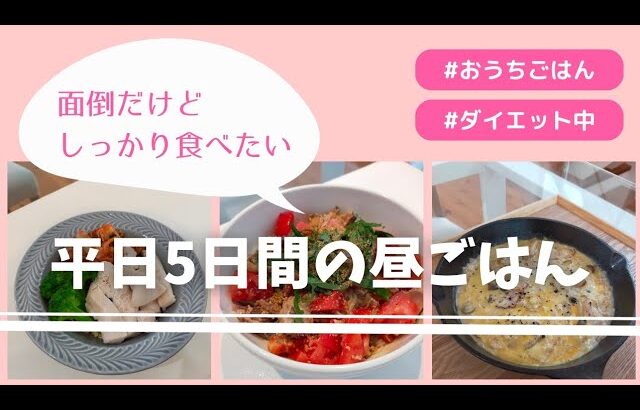 【ダイエット中】平日5日間のお昼ごはん【専業主婦】