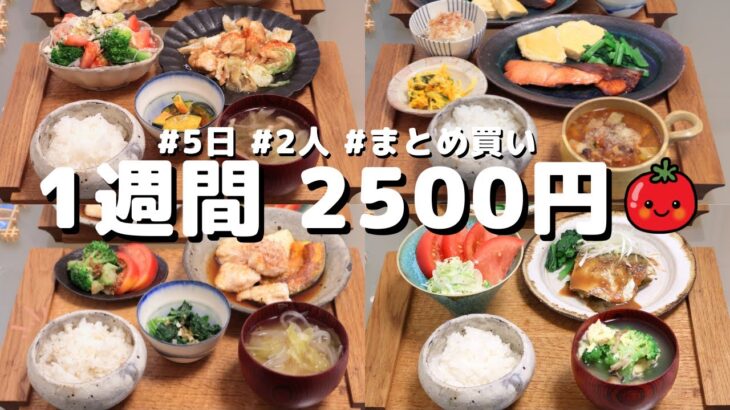 【夜ご飯 1週間献立】夏の夕飯 5日の献立 おかず2500円　買い物1回まとめ買いで乗り切る節約レシピ (´・ω・`)（●｀ε´●）2人暮らし(461)