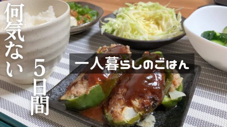 【一人暮らしの自炊生活】平日5日間の夜ご飯／ピーマンの肉詰め／オムライス