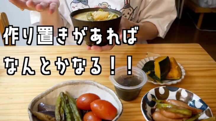 作り置きで乗り切る！一人暮らしのリアルな平日晩ごはん／食費節約したい…