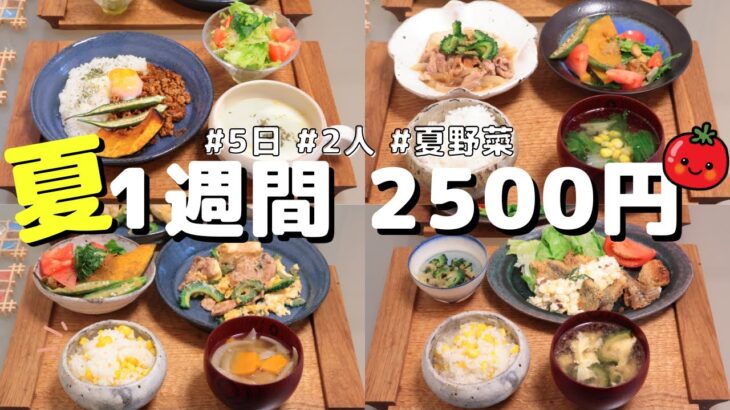 【夜ご飯 1週間献立】おかず2500円の5日間夕飯献立(8月)夏野菜でも節約レシピ　(´・ω・`)（●｀ε´●）2人暮らし(464)