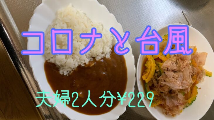 【お盆休み】コロナと台風　ダブルで直撃#コロナ#停電#アラ還 #ずぼら飯 #節約レシピ #自給自足